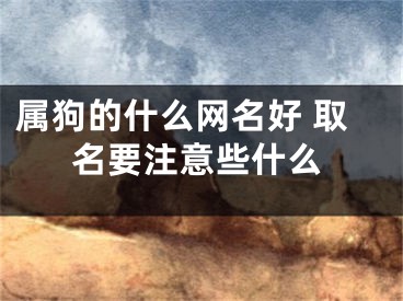 属狗的什么网名好 取名要注意些什么