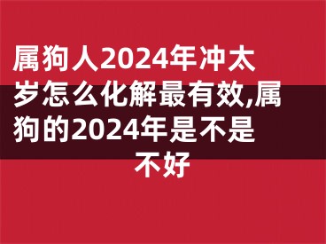 属狗人2024年冲太岁怎么化解最有效,属狗的2024年是不是不好