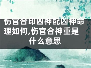 伤官合印凶神配凶神命理如何,伤官合神重是什么意思