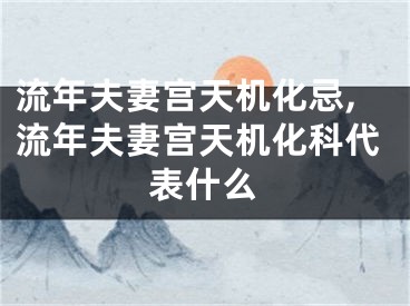 流年夫妻宫天机化忌,流年夫妻宫天机化科代表什么