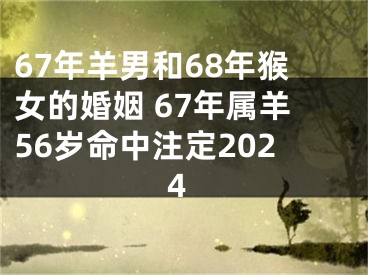 67年羊男和68年猴女的婚姻 67年属羊56岁命中注定2024