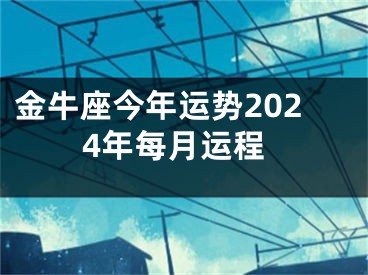 金牛座今年运势2024年每月运程