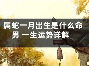 属蛇一月出生是什么命男 一生运势详解
