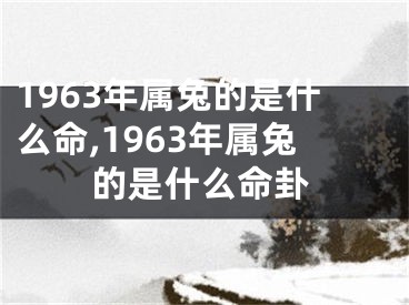 1963年属兔的是什么命,1963年属兔的是什么命卦