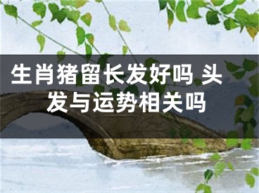 生肖猪留长发好吗 头发与运势相关吗