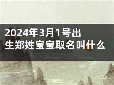 2024年3月1号出生郑姓宝宝取名叫什么