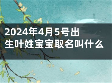 2024年4月5号出生叶姓宝宝取名叫什么