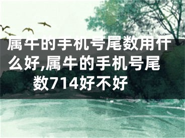 属牛的手机号尾数用什么好,属牛的手机号尾数714好不好
