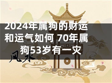 2024年属狗的财运和运气如何 70年属狗53岁有一灾