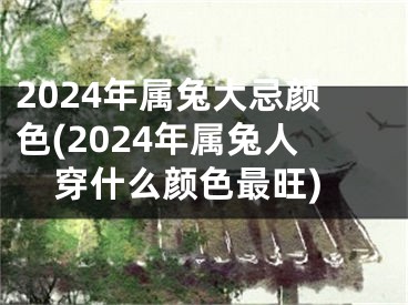 2024年属兔大忌颜色(2024年属兔人穿什么颜色最旺)