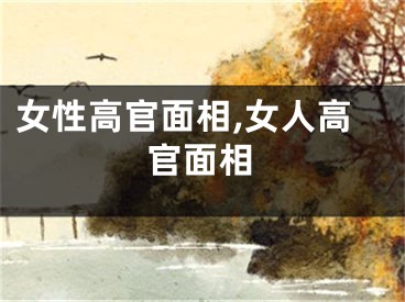 女性高官面相,女人高官面相