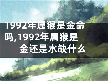 1992年属猴是金命吗,1992年属猴是金还是水缺什么