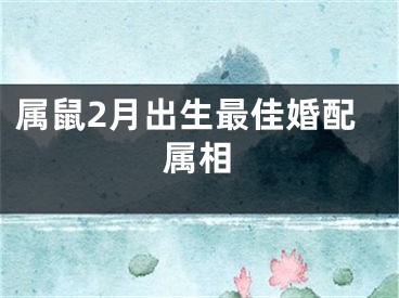 属鼠2月出生最佳婚配属相