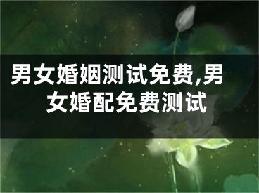 男女婚姻测试免费,男女婚配免费测试