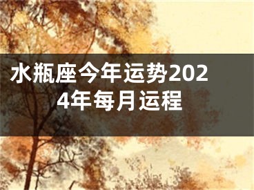 水瓶座今年运势2024年每月运程