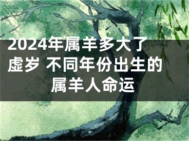 2024年属羊多大了虚岁 不同年份出生的属羊人命运