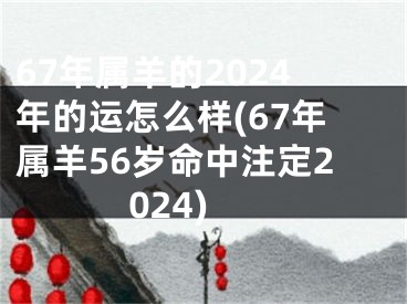 67年属羊的2024年的运怎么样(67年属羊56岁命中注定2024)