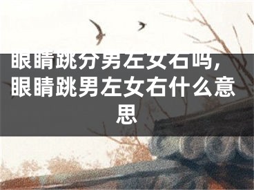眼睛跳分男左女右吗,眼睛跳男左女右什么意思