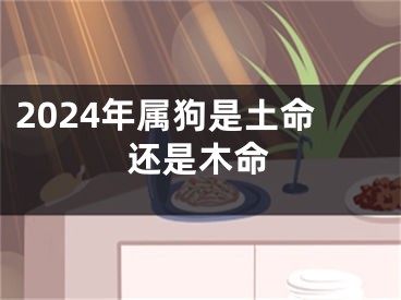 2024年属狗是土命还是木命
