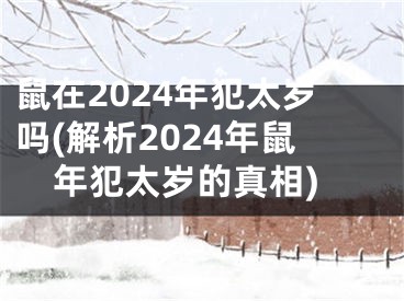 鼠在2024年犯太岁吗(解析2024年鼠年犯太岁的真相)
