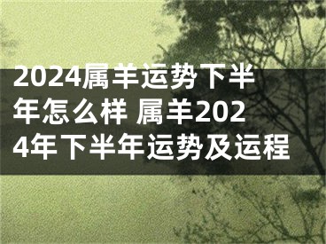 2024属羊运势下半年怎么样 属羊2024年下半年运势及运程