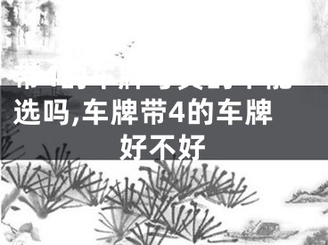 带4的车牌号真的不能选吗,车牌带4的车牌好不好