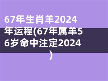 67年生肖羊2024年运程(67年属羊56岁命中注定2024)