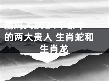 属鸡人2024年命中的两大贵人 生肖蛇和生肖龙