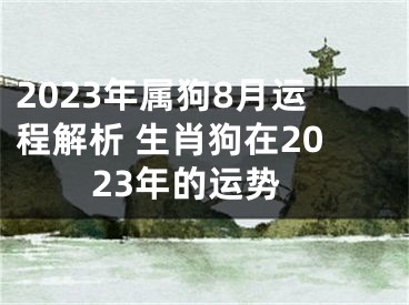 2023年属狗8月运程解析 生肖狗在2023年的运势