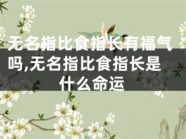 无名指比食指长有福气吗,无名指比食指长是什么命运