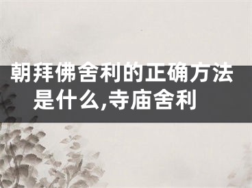 朝拜佛舍利的正确方法是什么,寺庙舍利