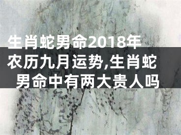 生肖蛇男命2018年农历九月运势,生肖蛇男命中有两大贵人吗