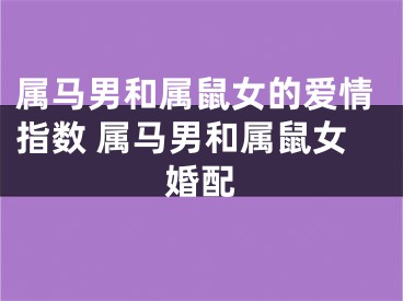 属马男和属鼠女的爱情指数 属马男和属鼠女婚配