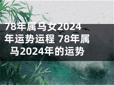 78年属马女2024年运势运程 78年属马2024年的运势