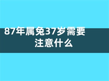 87年属兔37岁需要注意什么