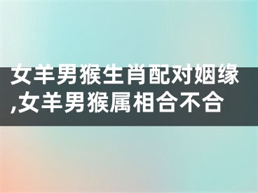 女羊男猴生肖配对姻缘,女羊男猴属相合不合