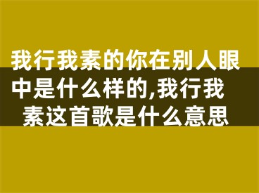 我行我素的你在别人眼中是什么样的,我行我素这首歌是什么意思