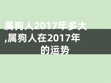 属狗人2017年多大,属狗人在2017年的运势