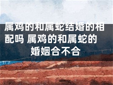 属鸡的和属蛇结婚的相配吗 属鸡的和属蛇的婚姻合不合