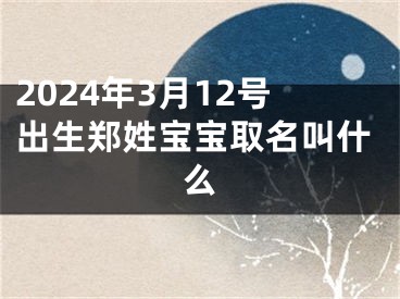 2024年3月12号出生郑姓宝宝取名叫什么