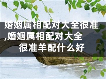 婚姻属相配对大全很准,婚姻属相配对大全 很准羊配什么好
