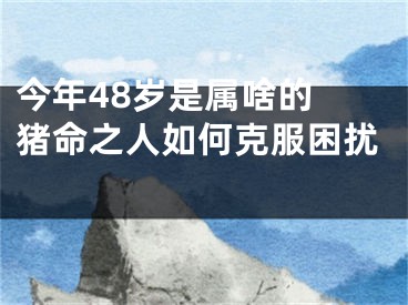 今年48岁是属啥的 猪命之人如何克服困扰 