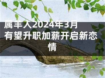 属羊人2024年3月有望升职加薪开启新恋情
