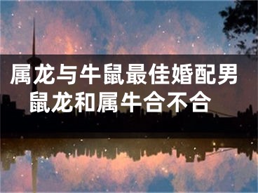 属龙与牛鼠最佳婚配男 鼠龙和属牛合不合