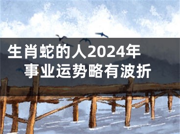 生肖蛇的人2024年事业运势略有波折
