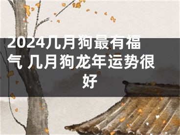 2024几月狗最有福气 几月狗龙年运势很好