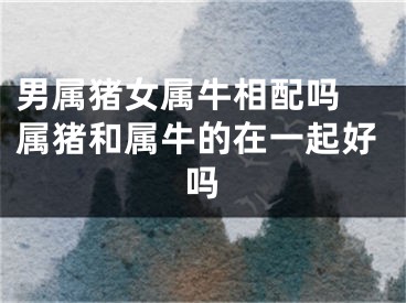 男属猪女属牛相配吗 属猪和属牛的在一起好吗