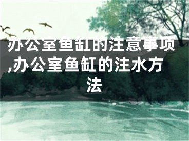 办公室鱼缸的注意事项,办公室鱼缸的注水方法