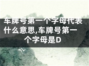 车牌号第一个字母代表什么意思,车牌号第一个字母是D