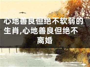 心地善良但绝不软弱的生肖,心地善良但绝不离婚